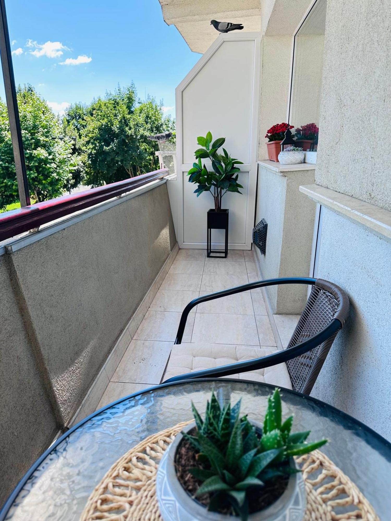 Studio Panoramic With Balcony And Parcul Unirii View Alba Iulia Extérieur photo